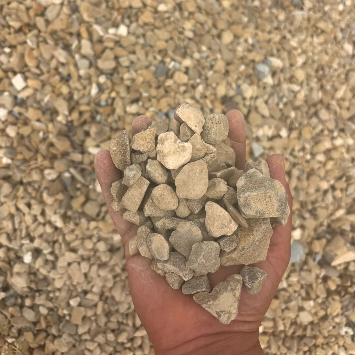 Piedra Caliza