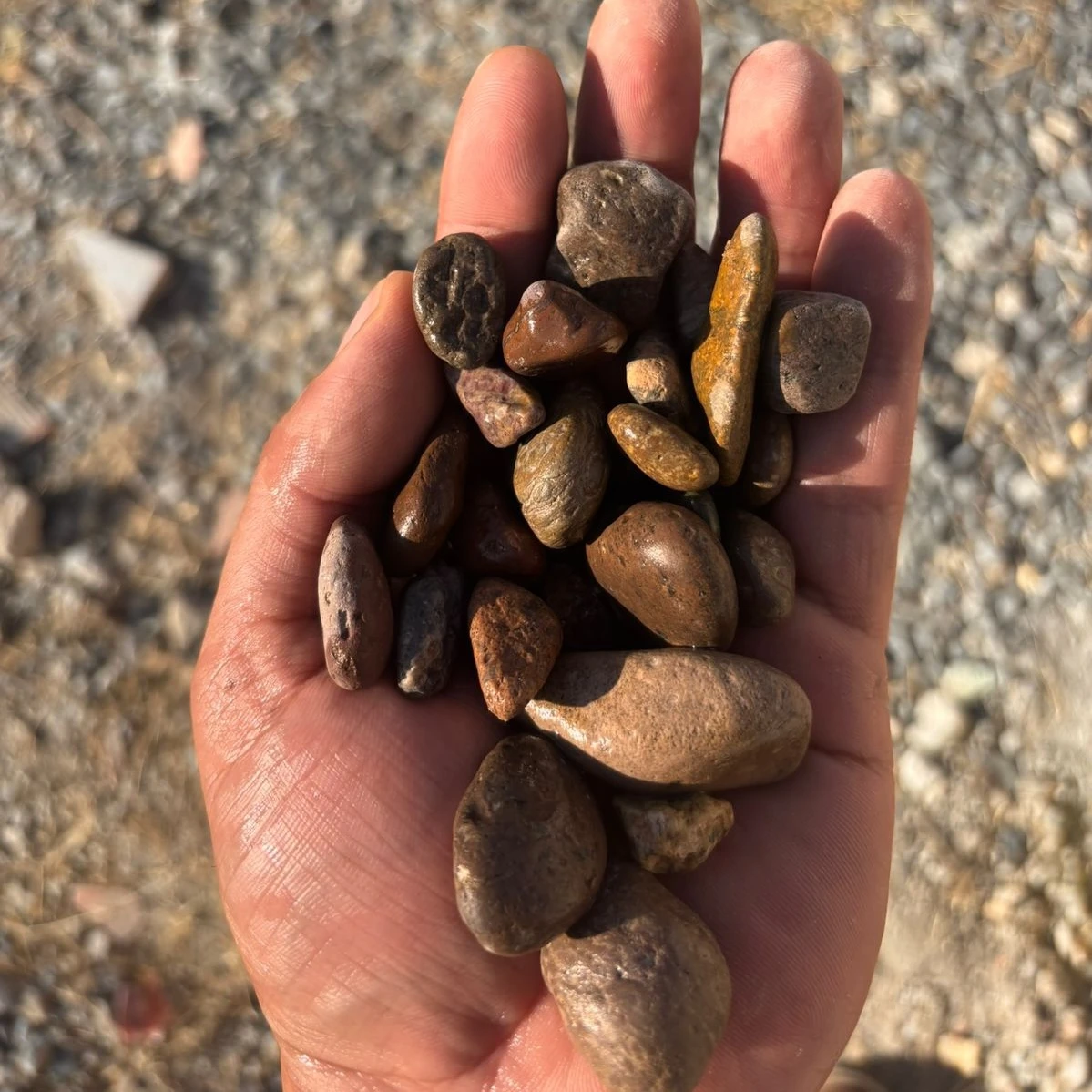 Piedra Reynosa